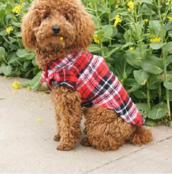 Checkered Pet Shirt