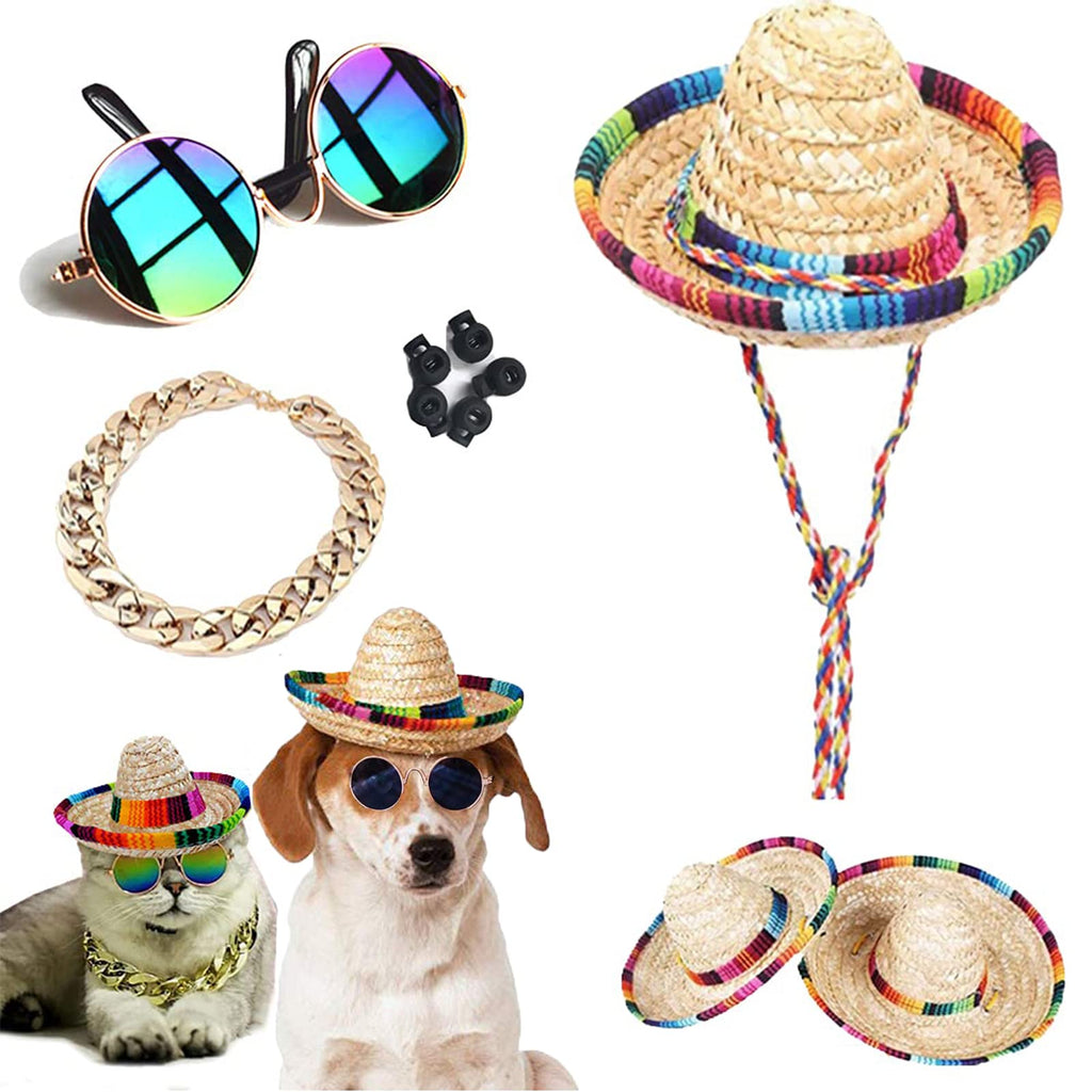 Mini Sombrero Pet Costume Set