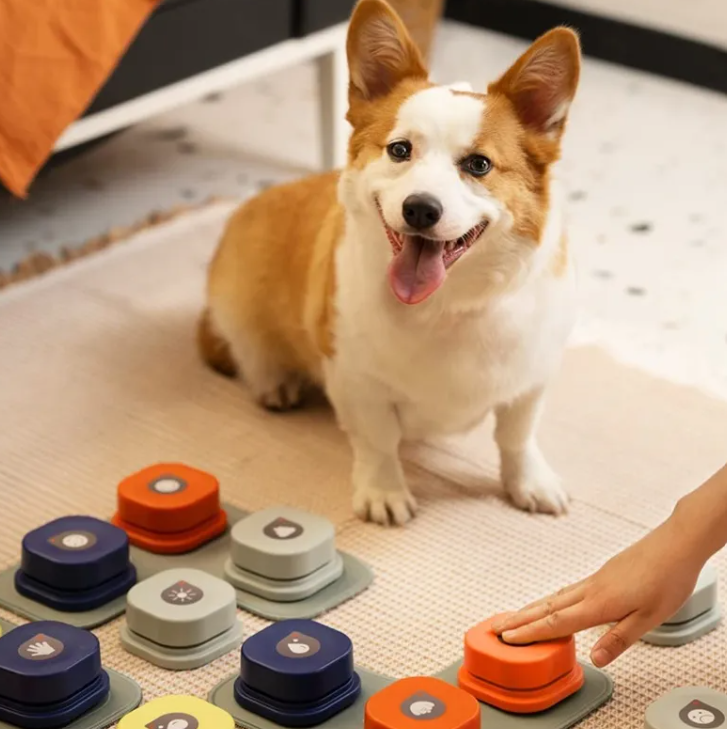 Talking Pet Communication Button