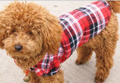 Checkered Pet Shirt