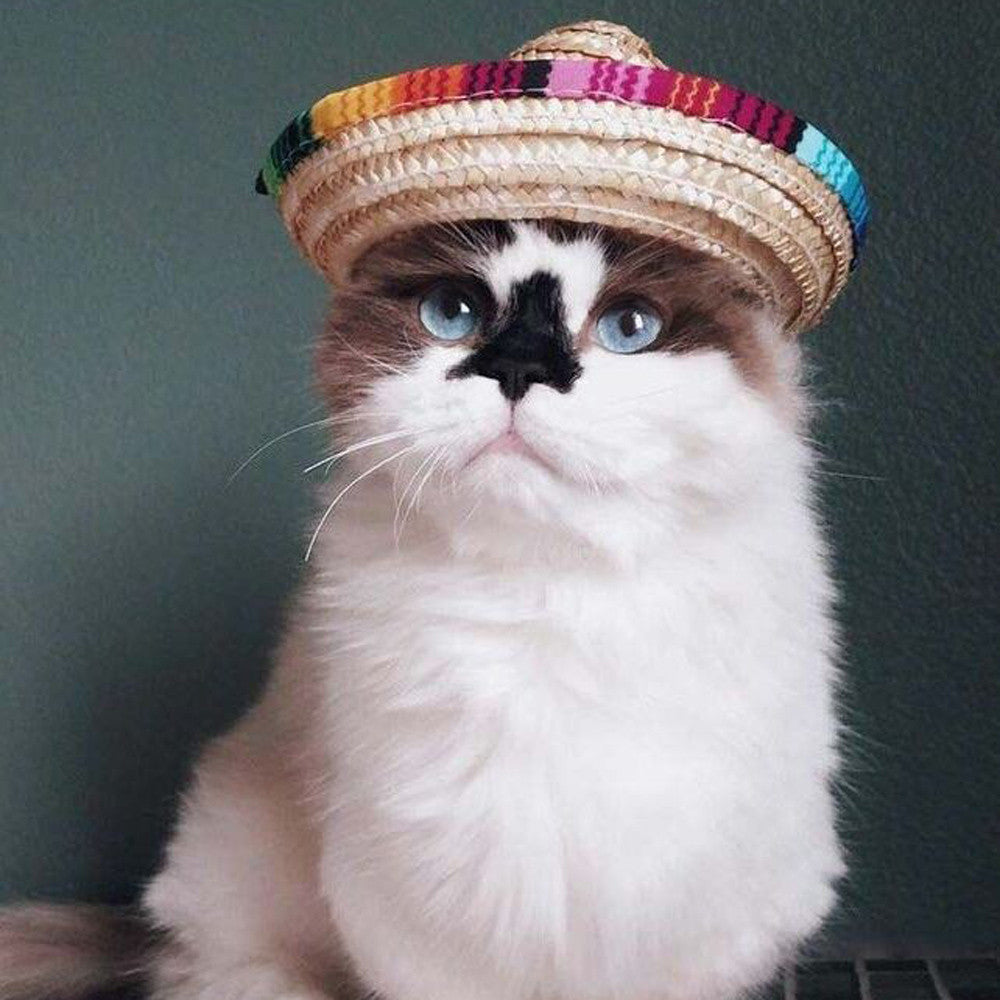 Pet Sun Hat