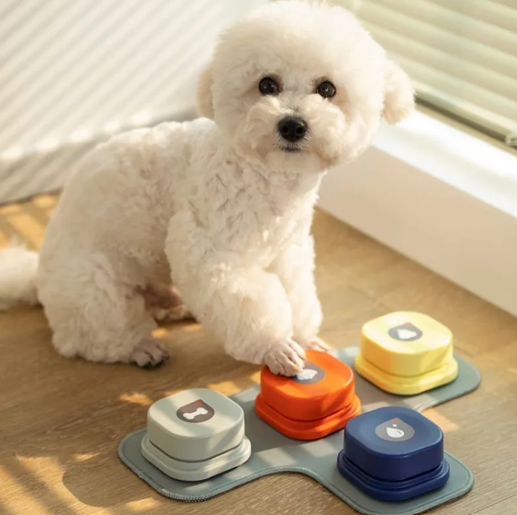 Talking Pet Communication Button