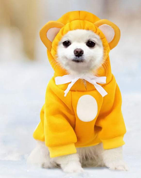 Pet Hoodie