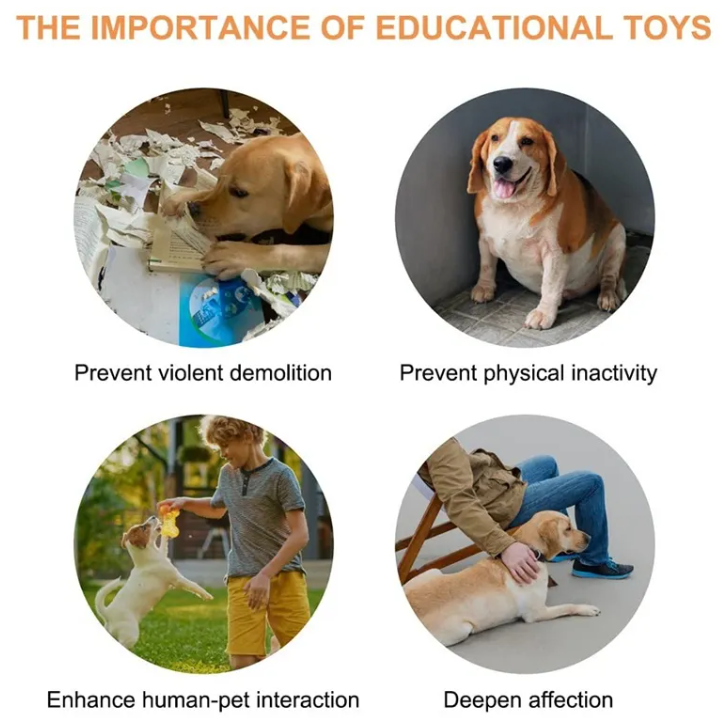 Talking Pet Communication Button