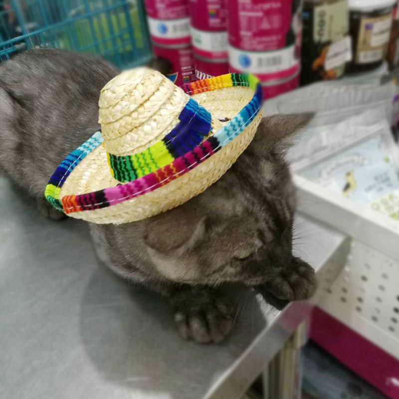 Pet Sun Hat