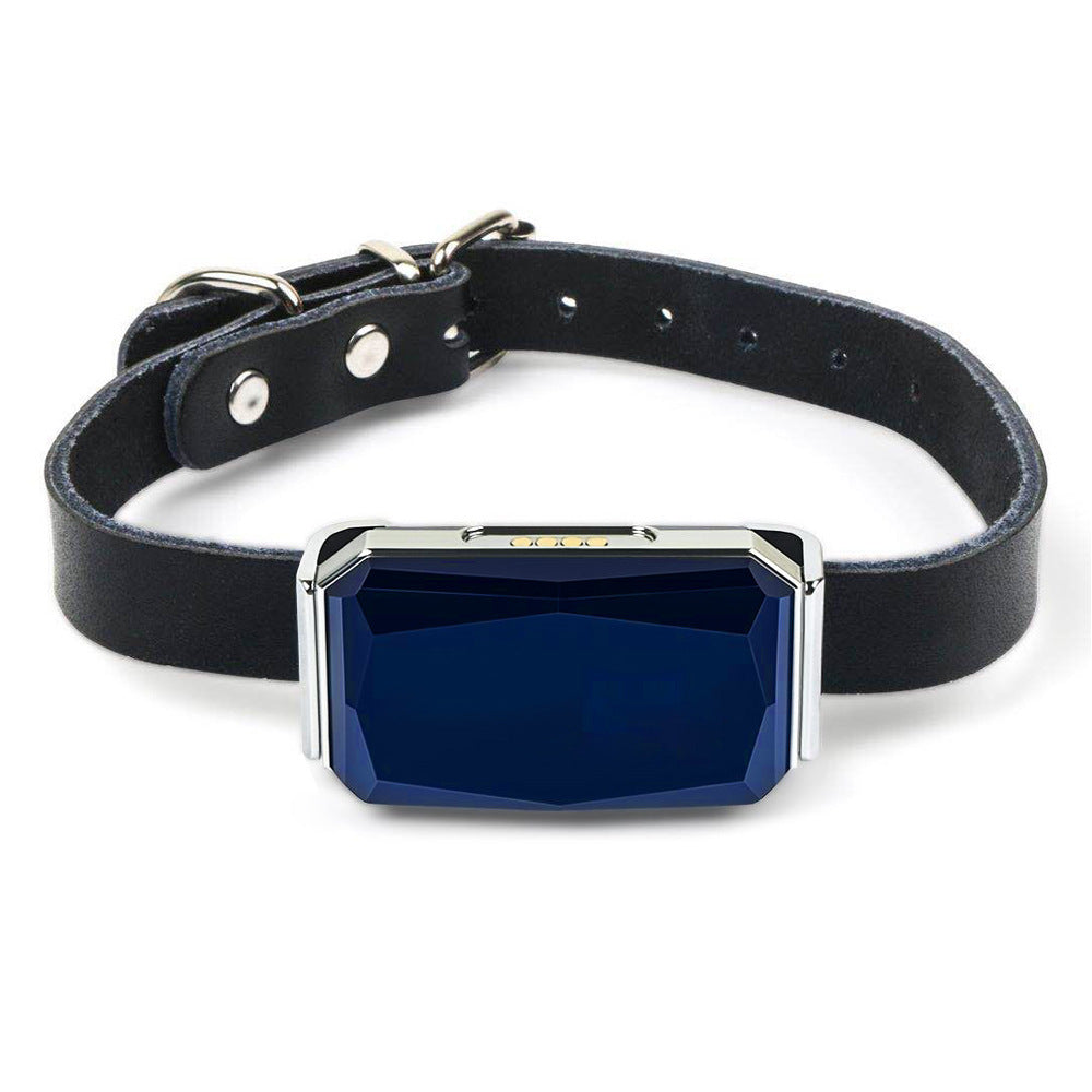GPS Pet Tracker Collar