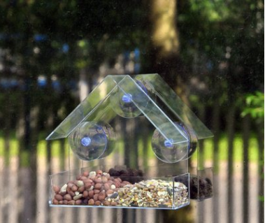 Acrylic Bird Feeder