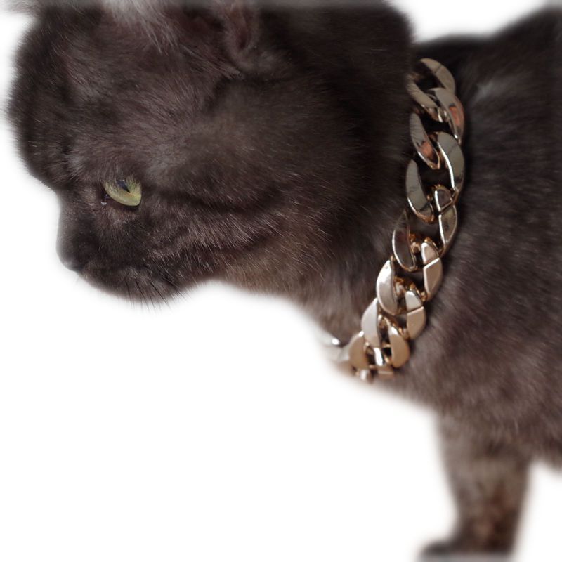 Gold Pet Necklace Chain