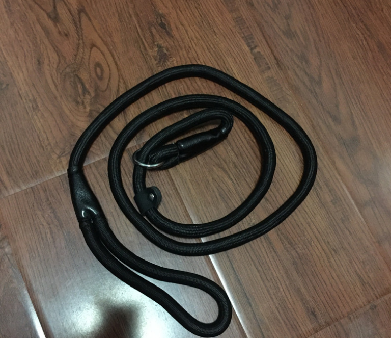 Dog Slip Leash
