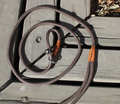 Dog Slip Leash