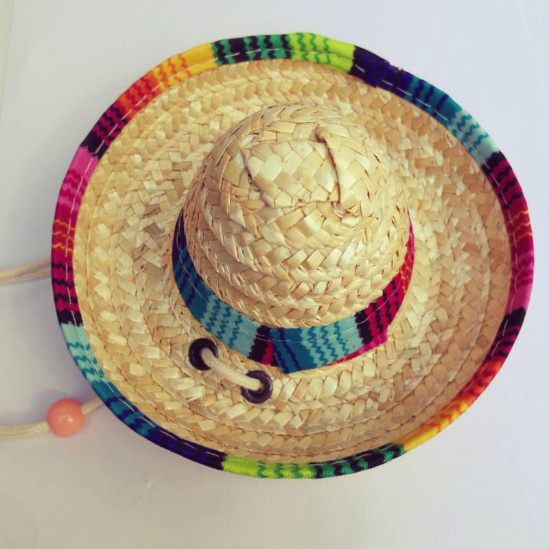 Pet Sun Hat